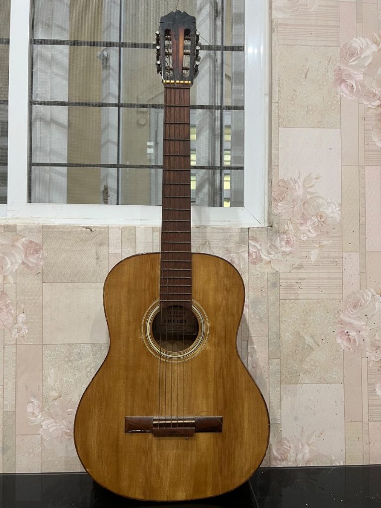 Đàn guitar — ảnh 1